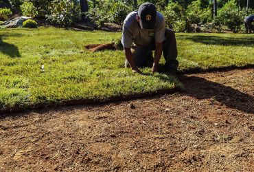 Sod & Hydroseeding