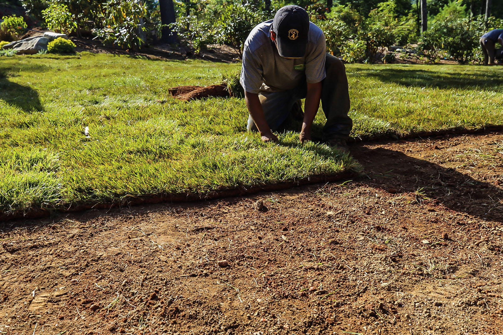 Lawn Care Boone NC Clean Cut Landscaping Lawn Clean Cut Boone