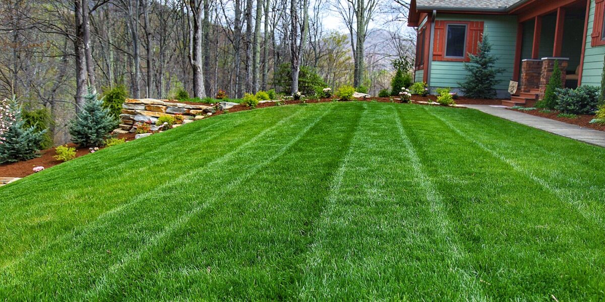 Lawn Maintenance