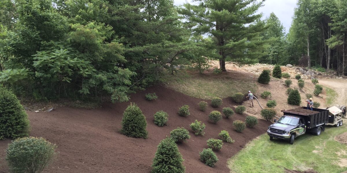 Mulch & Pine Straw