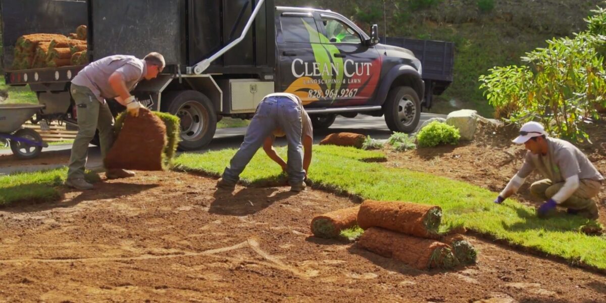 Sod & Hydroseeding