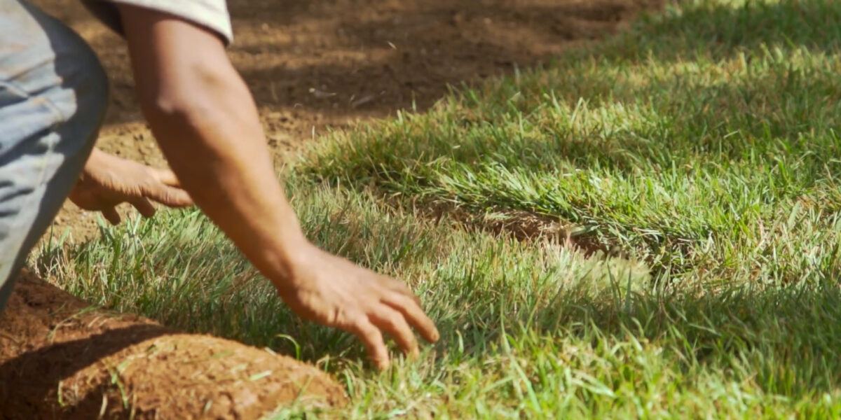 Sod & Hydroseeding