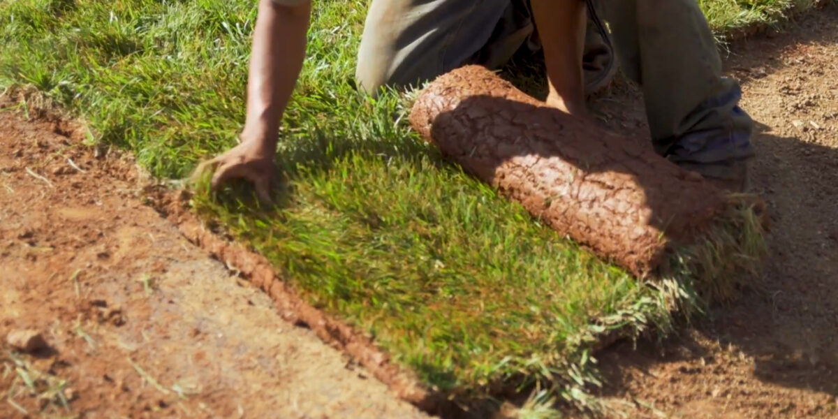 Sod & Hydroseeding