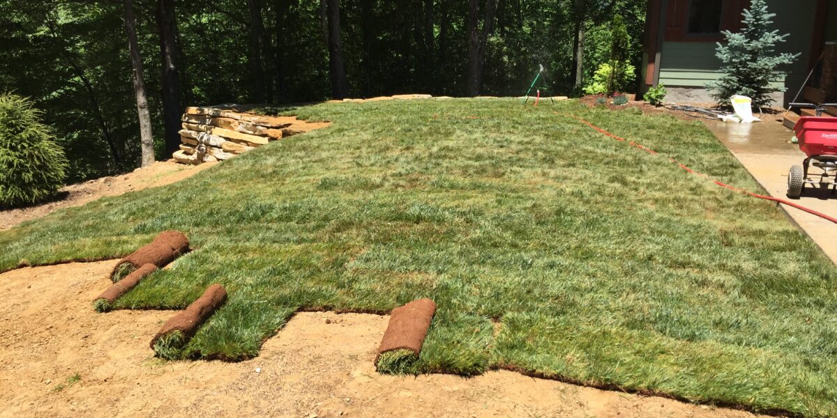 Sod & Hydroseeding