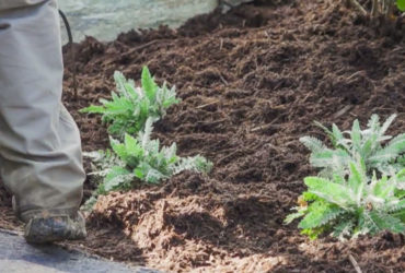 Mulch & Pine Straw