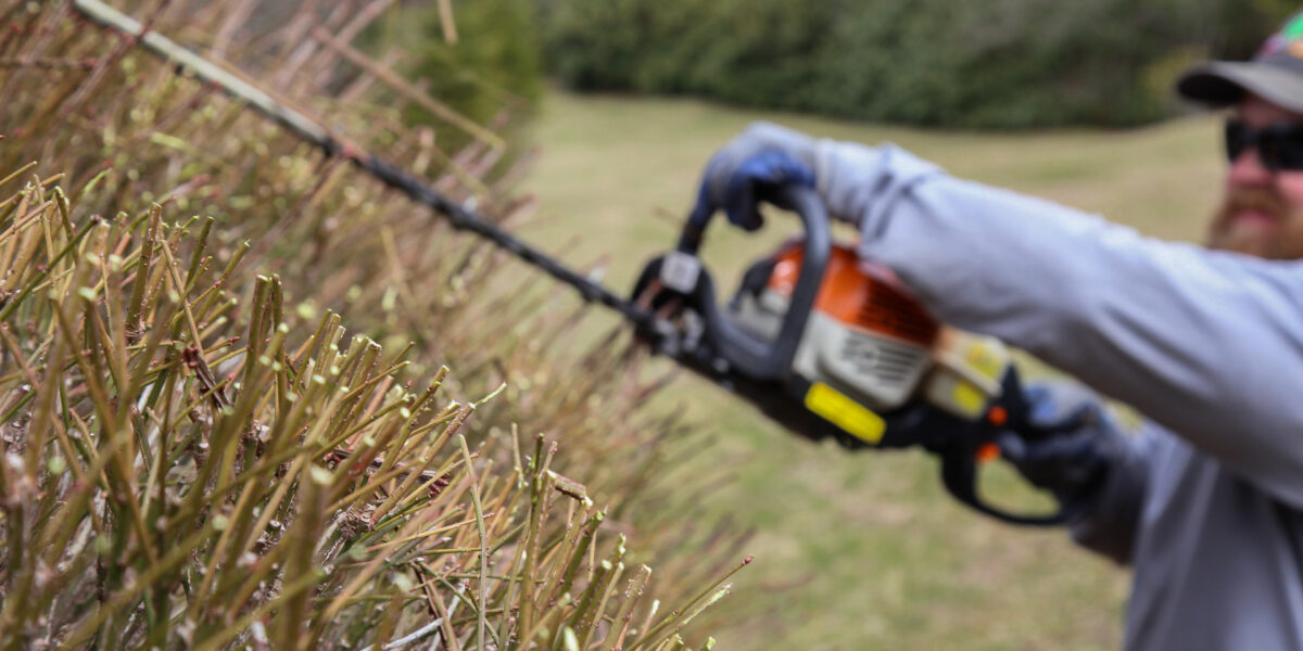 Pruning & Trimming