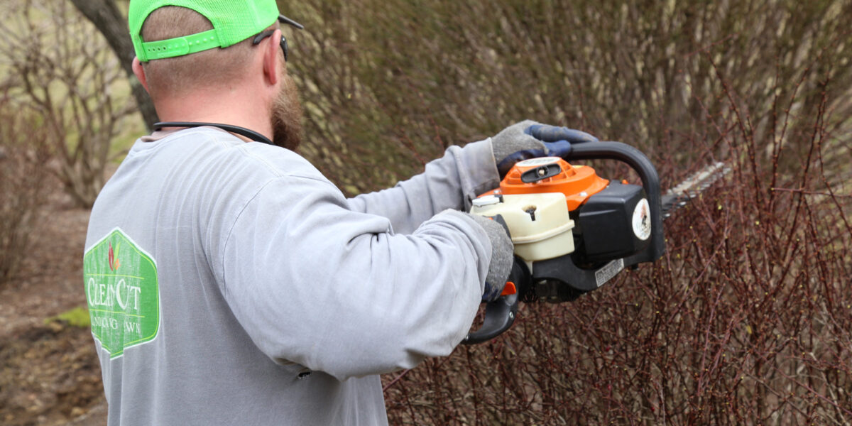 Pruning & Trimming