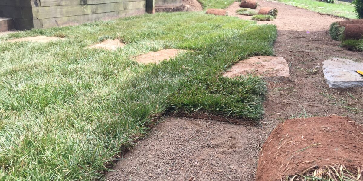 Sod & Hydroseeding