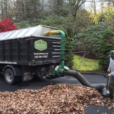 Seasonal Clean Ups