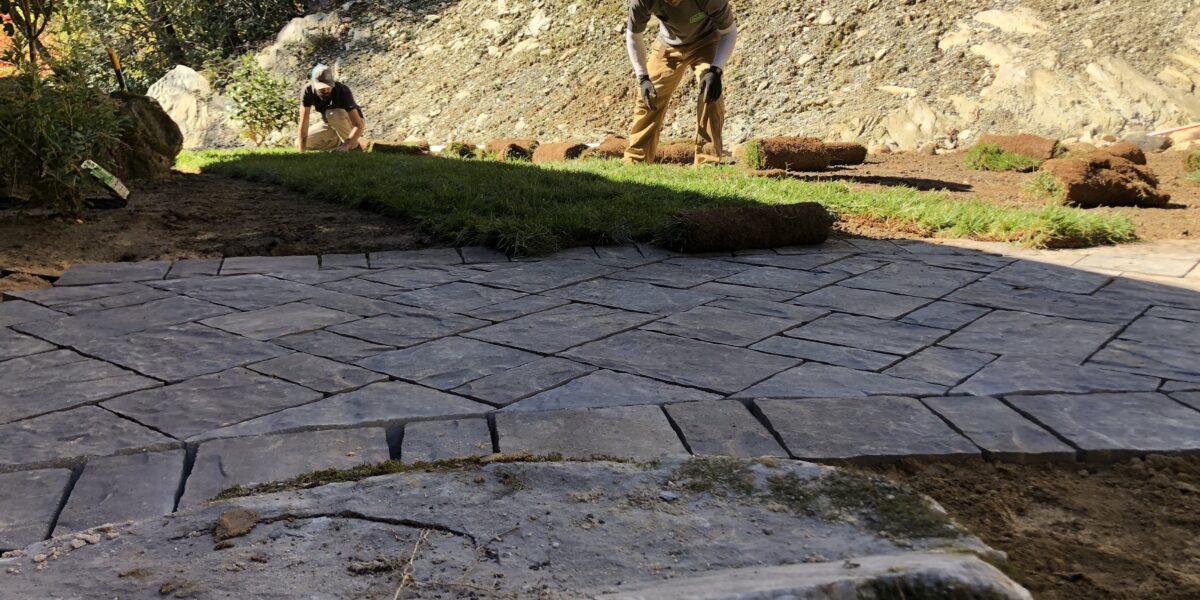 Sod & Hydroseeding