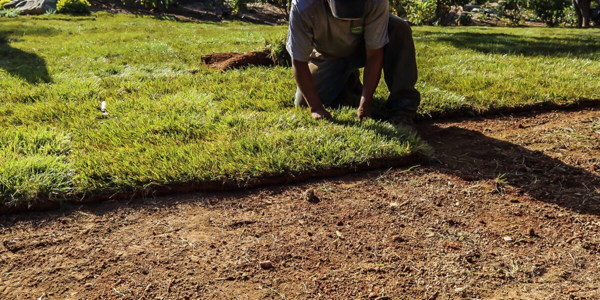 Sod & Hydroseeding