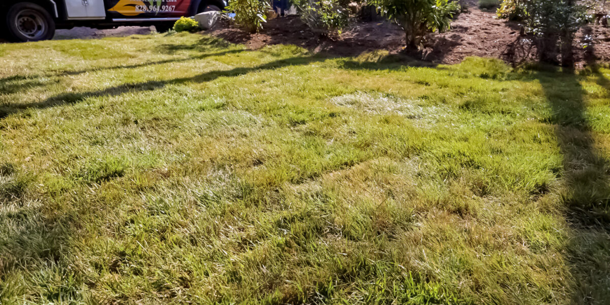 Sod & Hydroseeding