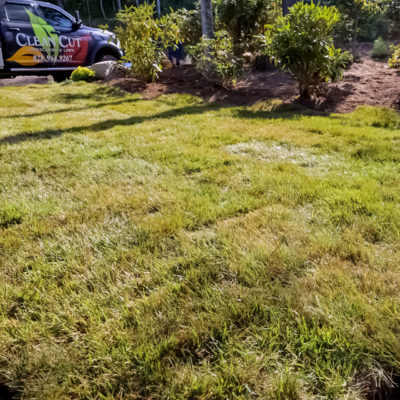 Sod & Hydroseeding